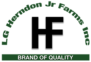 Welcome Logo